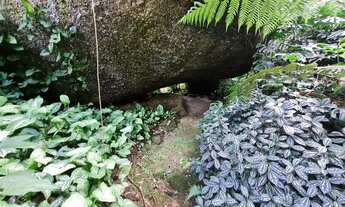 Imagem 5: Monteiro lobato Chácara com venda por R$1.970.000