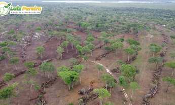 Imagem 7: FAZENDA À VENDA EM PIUM - TO - 1.021,24 HECTARES (DUPLA APTIDÃO
