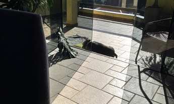 Imagem 6: Cobertura para venda tem 140 metros quadrados com 2 quartos em Santa Maria - São Caetano d