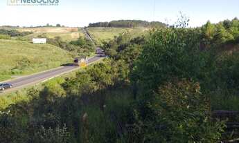 Imagem 4: EXECELENTE SÍTIO NAS MARGENS DA BR 354, SENTIDO LAGOA FORMOSA