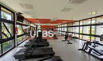 Imagem 5: Terras Alpha 2 - Terreno