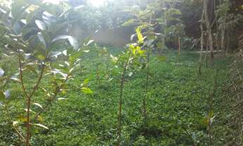 Imagem 3: Lote /Terreno à Venda São Paulo II, R$ 690,00/m²