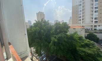 Imagem 2: PINHEIROS AO LADO DO METRÔ