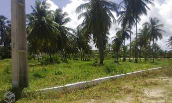 Imagem 5: Terreno em Sao Jose da Coroa Grande