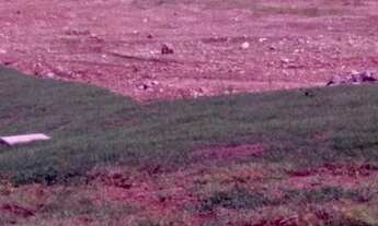 Imagem: Terreno comercial para venda no Florais