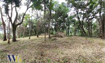 Imagem 3: Chácara para Venda em Campo Largo, Estrada da Faxina/Taquaral