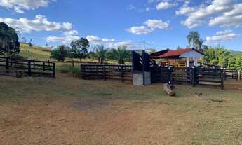 Imagem 3: Oportunidade! Vende-se uma belíssima fazenda de 250 Alqueires