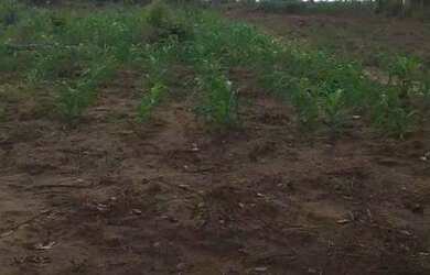 Imagem 4: Sitio cidade Araçás