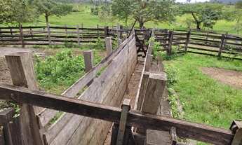 Imagem 5: Vendo fazenda em Roraima