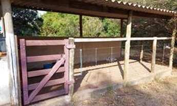 Imagem 7: Excelente Fazenda á venda com 10 alqueires no município de Monte Alegre de Minas - MG