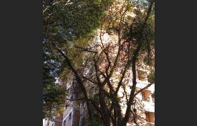 Imagem 6: Pop Art Diadema Centro! Mcmv