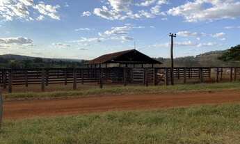 Imagem 4: Oportunidade! Vende-se uma belíssima fazenda de 250 Alqueires