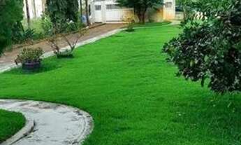 Imagem 6: Vende -se casa Casa com 3 dormitórios