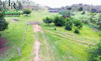 Imagem 7: Fazenda 110 Alqueires Beira Asfalto, Próximo da Capital