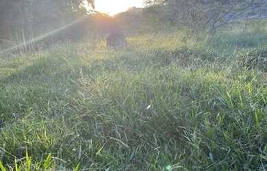 Imagem 4: Lotes/terreno em igarata 500m2 pé na água fundo para represa