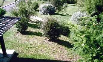 Imagem 3: Casa para Venda - 630m², 5 dormitórios, sendo 5 suites, 9 vagas - Belém Velho