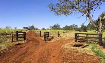 Imagem 5: Fazenda em riolandia s.p 185 alqueires 40.000.000.00 ( dud