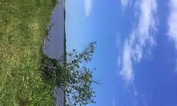 Imagem 3: Venda ou troca rancho de frente para o Rio Iguape