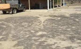 Imagem 2: Plantação Coco e limão Taiti