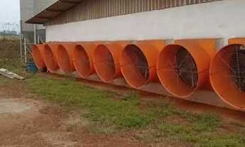 Imagem 4: SITIO ribeirao preto 3 alqueires com irrigacao 3 galpoes zap *2