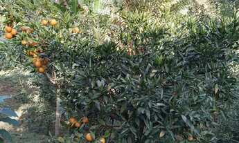 Imagem 3: Chácara em Nazaré Paulista