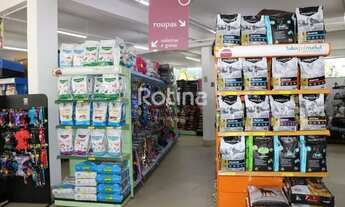 Imagem 7: Loja para aluguel, Osvaldo Rezende - Uberlândia/MG