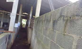 Imagem 7: Terreno com galpão !!! Bairro do Agudo !!!