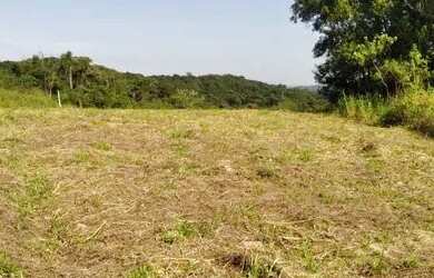 Imagem 6: Lote/Terreno para venda possui 600 metros quadrados em Santa Maria - Osasco - SP