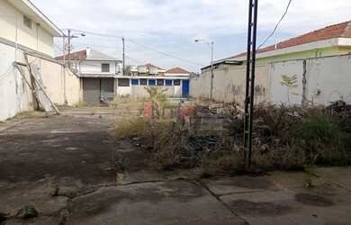 Imagem 3: TERRENO ALTO DE PINHEIROS, PLANO, 586 M