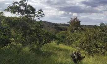 Imagem 2: Chácara em alaxnia