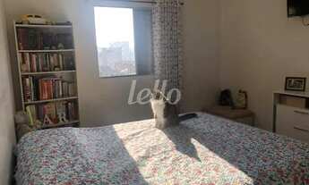 Imagem 8: São Paulo - Apartamento Padrão - Cambuci