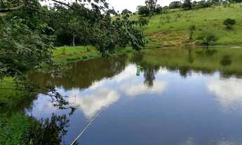 Imagem 6: Haras - / Rural / Centro