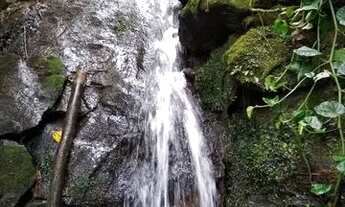 Imagem 6: Sítio 2,42 ha no bairro Pedrão em Maria da Fé - MG