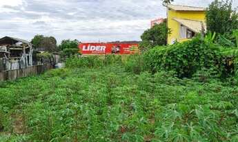 Imagem 6: Terreno próximo ao trevo para Garopaba nas margens da SC-434, Araçatuba / Imbituba - SC