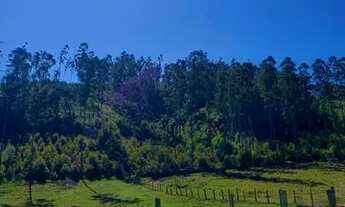 Imagem 2: Seu Espaço Sagrado: Terreno Perfeito para Construir um Templo
