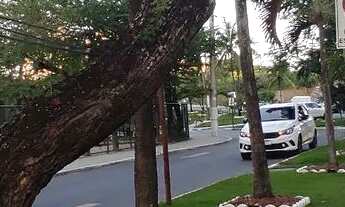 Imagem 2: Vendo 2/4 revertido para 3/4 no Bosque Imperial