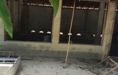 Imagem 5: Venda Sitio Aquiraz Aconchego