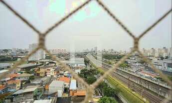 Imagem 6: Apartamento para Aluguel - Tatuapé, 2 Quartos, 50 m2