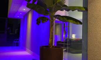 Imagem 3: Cobertura duplex 294 metros quadrados com 4 quartos em Carmo - Belo Horizonte - MG