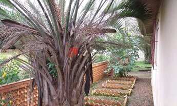 Imagem 2: Casa de esquina 03 dormitórios