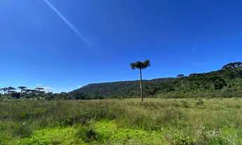Imagem 6: TERRENO DE ALTITUDE ACIMA DE 1500 METROS EM URUBICI PARA VENDA!!!