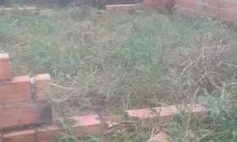 Imagem 3: Essa ê boa em mosqueiro vende-se um lindo terreno em mosqueiro