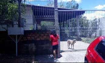 Imagem: Aluga-se casa em Gravataí