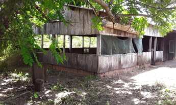 Imagem 7: 123. Fazendo no Município de Aquidauana/MS