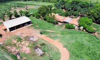 Imagem 3: 37 alqueirão - Cana - 65 ton