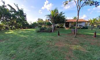 Imagem 3: Vendo excente chácara na Ponte Alta Sul com 4 hectares, 40.000m²!!!