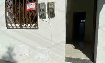 Imagem: 4 Casa no Jardim Tropical