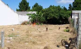 Imagem 4: Requinte Imóveis Aluga