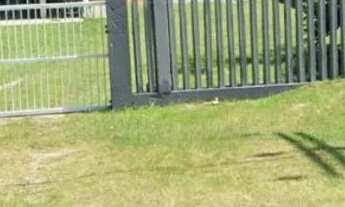 Imagem 3: Casa em Pontal do Sul. Disponível a partir de 13/01