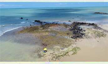 Imagem 5: LAR TROPICAL NA PRAIA DE JACUMÃ, CASA NO VILLAGE DE JACUMÃ, CONDE-PB